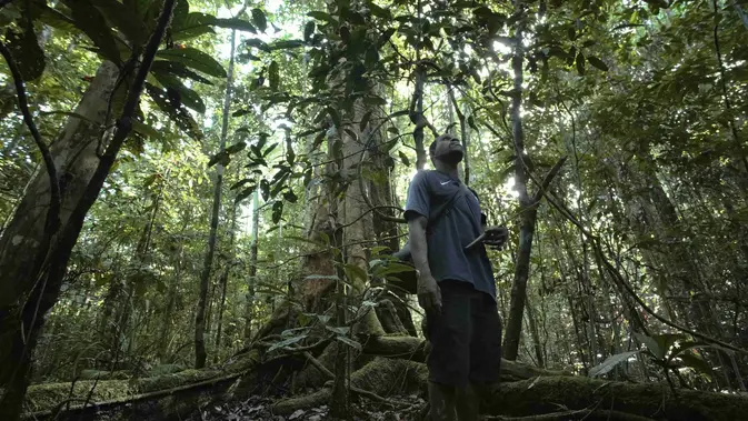 Anak Muda Papua Jaga Hutan Pakai Cara Tradisional Egek, Keren Parah!
