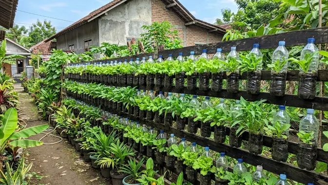 Pagar Jadi Kebun, Botol Plastik Diselamatin!