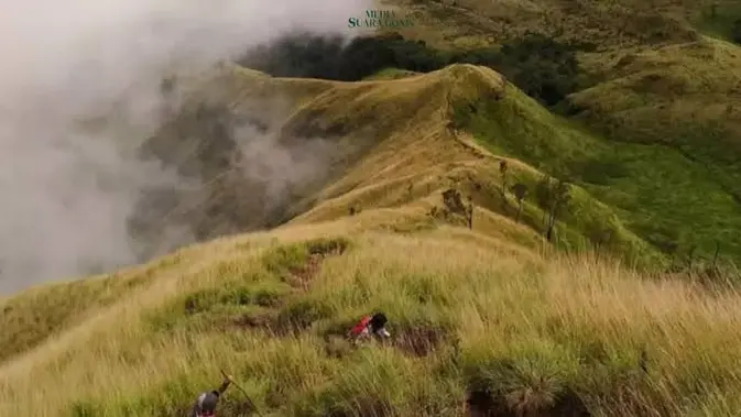 Gunung Arjuno-Welirang: Pendakian Ekstrem yang Bikin Nagih