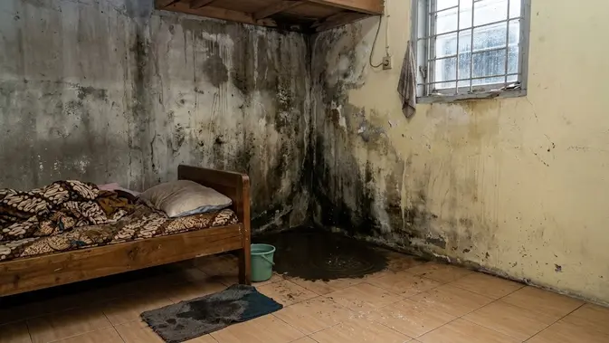 Waspada! 5 Tanda Pipa Air Rumah Lo Bocor Diam-Diam