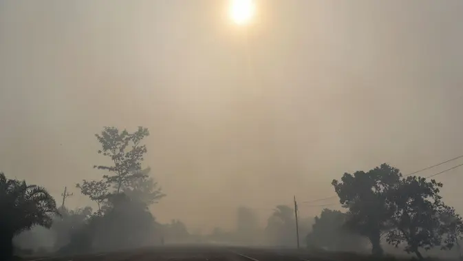 Kabut Asap Karhutla Bikin Palangka Raya Gelap, Warga Kena Imbas