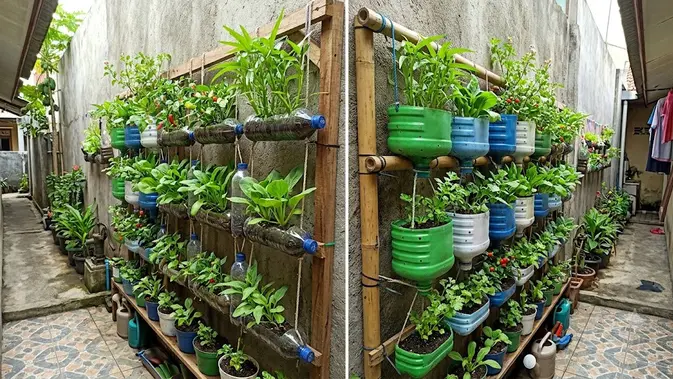 Galon Bekas Disulap Jadi Kebun Vertikal? Gas Pol, Bestie!
