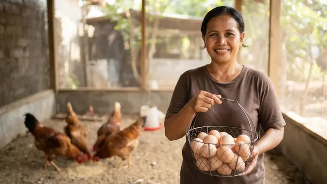 Ternak Ayam Kampung Petelur dari Rumah, Gini Cara Hitung Cuan-nya Biar Nggak Boncos