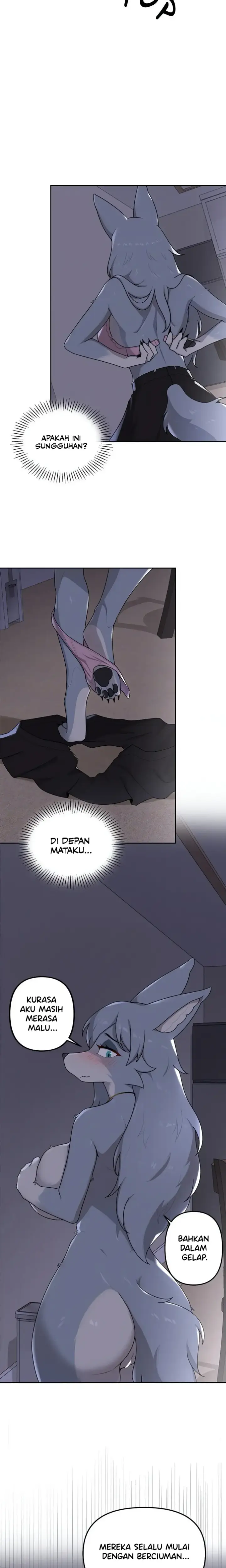 image-komik-paws-on-campus-manhwa-chapter-02-21/23