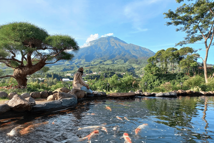 Sigandul View Temanggung Wisata Alam Dengan Jembatan Kaca Instagenic 