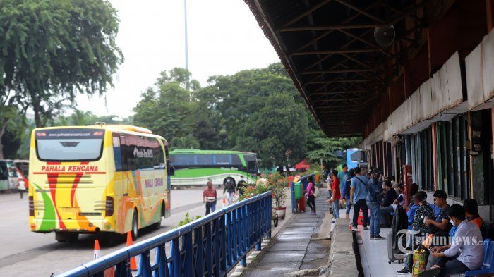 Harga Tiket 5 PO Bus AKAP Ini Langsung Meroket Pasca Naiknya Harga BBM