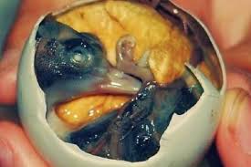 Bukan Telur Biasa! Balut Isi Embrio Bebek Jadi Primadona Kuliner Filipina