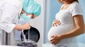 Proses Egg Freezing: Panduan Singkat seperti yang Dilakukan Luna Maya