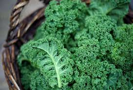 6 Manfaat Sayur Kale untuk Detoks Kulit dan Lawan Penuaan Dini