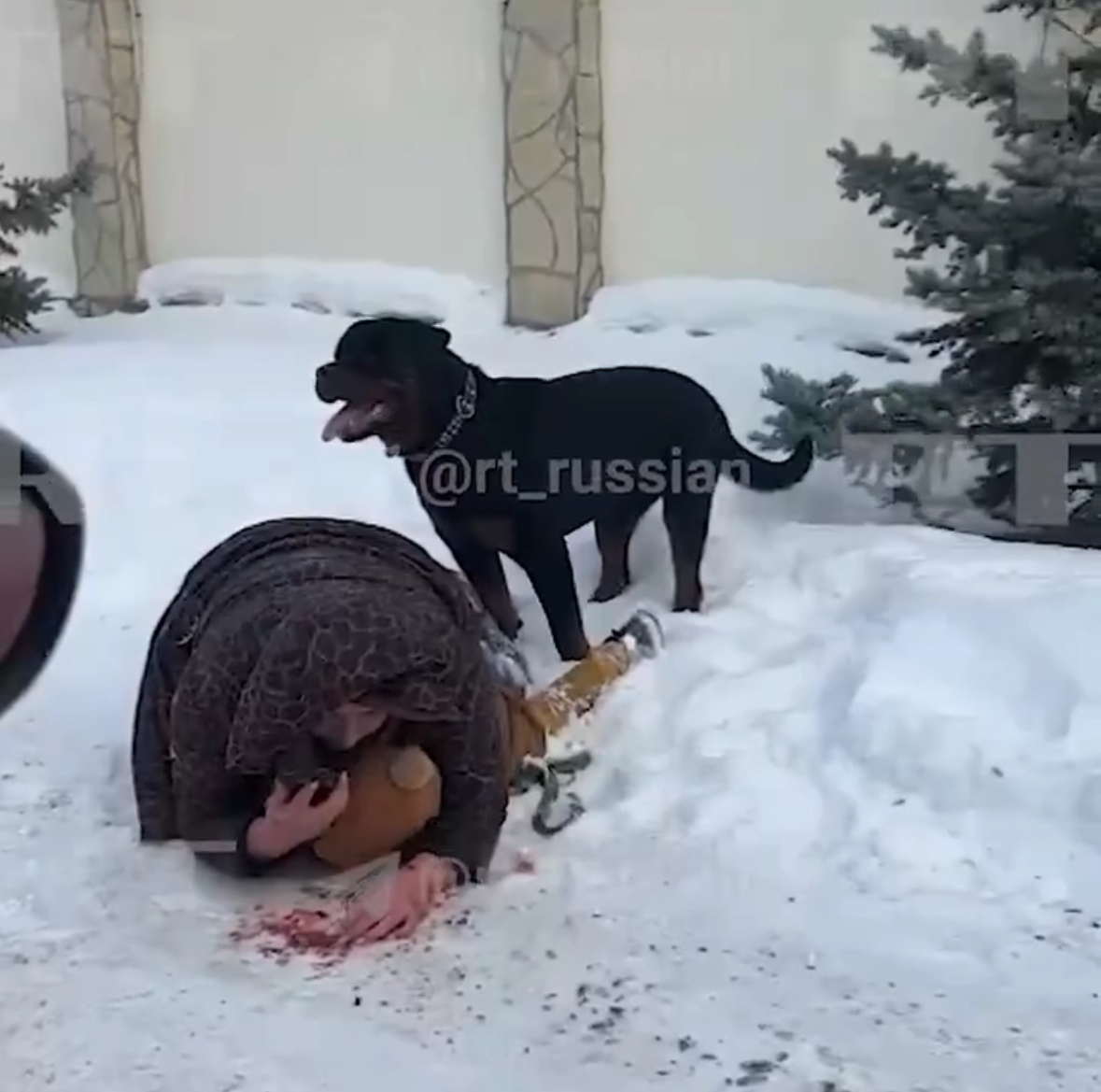 Haru! Seorang Ibu Rela Menjadi Tameng Agar Sang Anak Terhindar dari Serangan Rottweiler