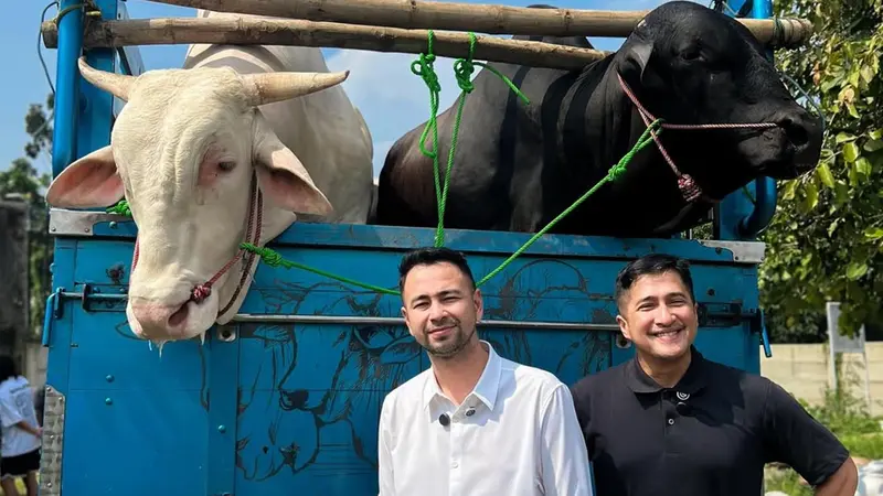 7 Artis Ini Kurban Sapi Jumbo di Idul Adha 2025, dari Raffi Ahmad sampai Ruben Onsu!