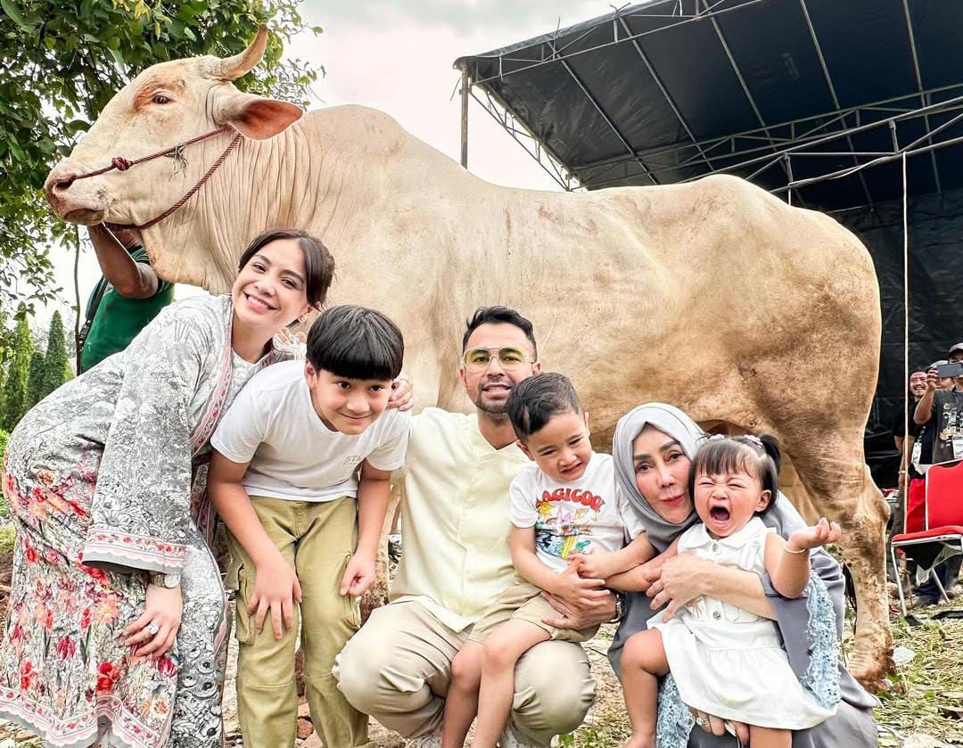 Hadiah untuk Nagita Slavina dan Anak! Ini Cerita Manis Dibalik Raffi Ahmad Borong 4 Sapi Jumbo Spesial untuk Idul Adha 