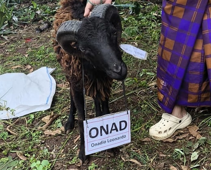 Salut! Onadio Leonardo Ikut Kurban di Idul Adha Meski Bukan Muslim, Ternyata Ini Sosok di Baliknya!