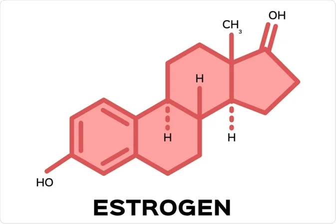 Kenali Estrogen: Hormon yang Bikin Mood Naik-Turun, Tapi Juga Jadi Kunci Kesehatan Cewek!
