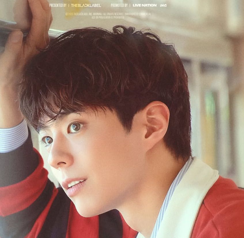 Park Bo Gum Gelar Fan Meeti...
