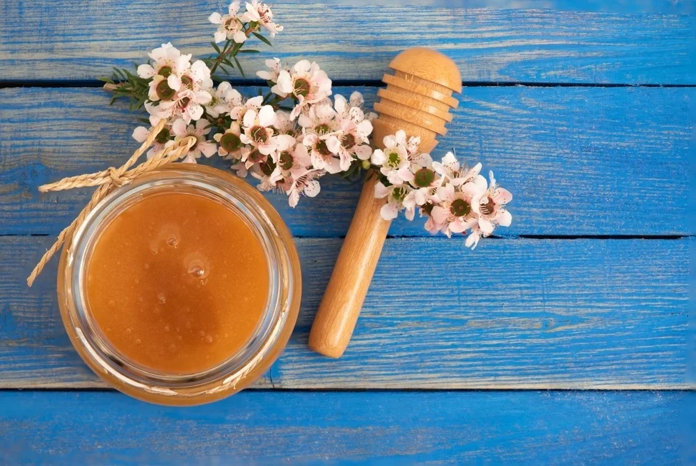 Manuka Honey Bisa Lawan Kan...