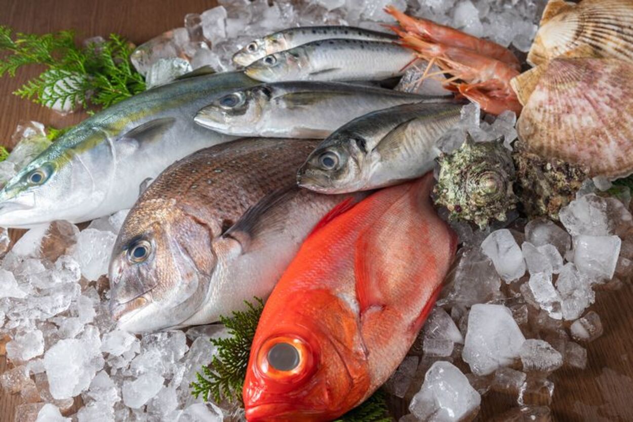 Ikan Segar vs Ikan Berforma...