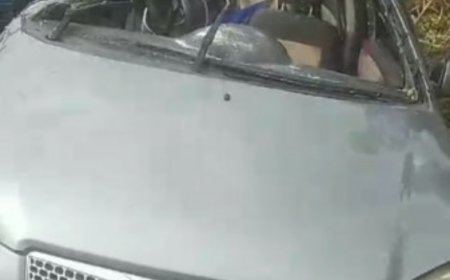 Tabrakan Maut di Sekincau, Truk Masuk Jurang, Tiga Penumpang Luka-luka