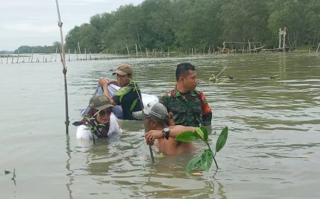 TNI AD Lampung Timur Tanam Mangrove, Lestarikan Alam dan Warisi Bumi untuk Generasi Mendatang
