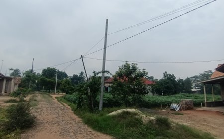 Dua Tahun Tiang Terpasang, Warga Dusun 1 Gedung Dalam Keluhkan Lambatnya Penarikan Jaringan Listrik PLN