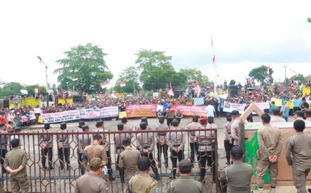 Petani Singkong Lampung Timur: Tuntut Kenaikan Harga agar Sejahtera