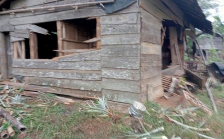 Gerombolan Gajah Ceraiberaikan Tubuh Warga di Tanggamus