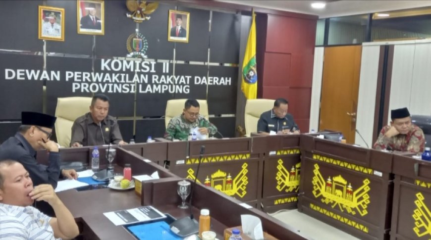 Harga Singkong Anjlok, DPRD Lampung Bergerak Cepat!