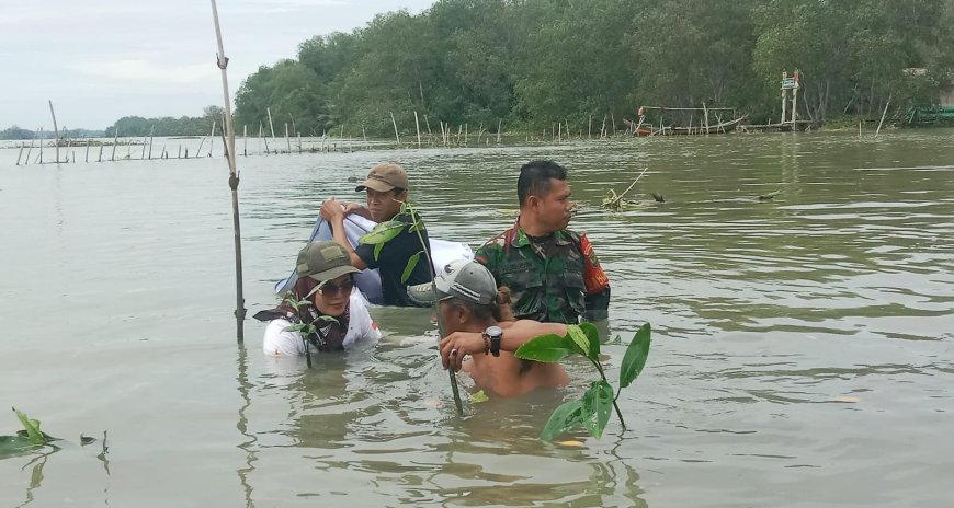 TNI AD Lampung Timur Tanam Mangrove, Lestarikan Alam dan Warisi Bumi untuk Generasi Mendatang