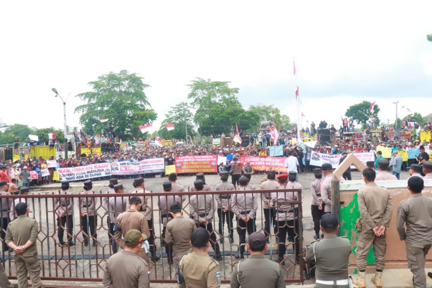 Petani Singkong Lampung Timur: Tuntut Kenaikan Harga agar Sejahtera