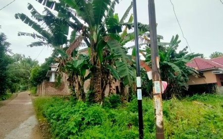 Bangun Tiang Tanpa Izin, Fiberstar Dilaporkan ke Polresta Bandarlampung