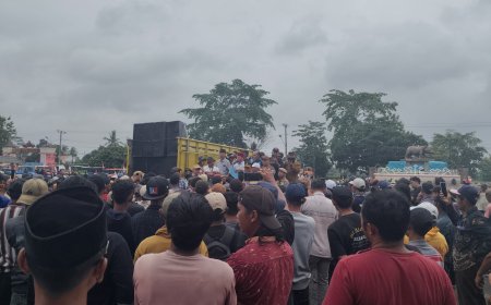 Petani Singkong Lampung Timur Desak Pemerintah Cari Solusi
