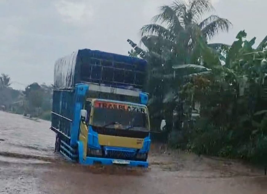 Genangan Air 50 cm Tutup Akses Jalan di Desa Sripendowo Usai Hujan Deras