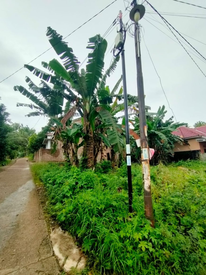 Bangun Tiang Tanpa Izin, Fiberstar Dilaporkan ke Polresta Bandarlampung