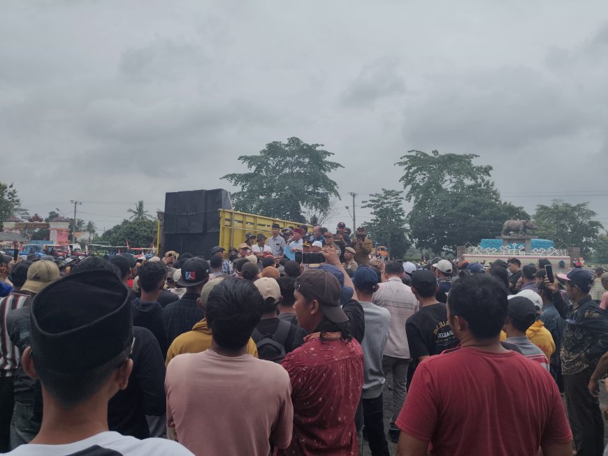 Petani Singkong Lampung Timur Desak Pemerintah Cari Solusi
