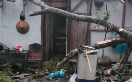 Angin Ribut Rusak Rumah di Lampung Timur, Satu Keluarga Terdampak