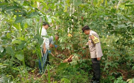 Tragis! Nenek di Lampung Timur Ditemukan Tak Bernyawa di Kebun Usai Cari Kayu Bakar