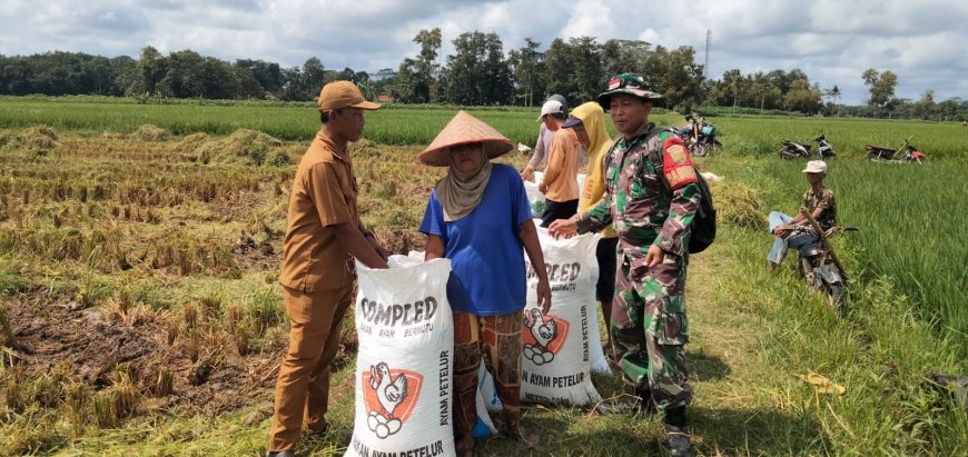 Harga Gabah Naik, Petani Lampung Timur Tersenyum Lebar!