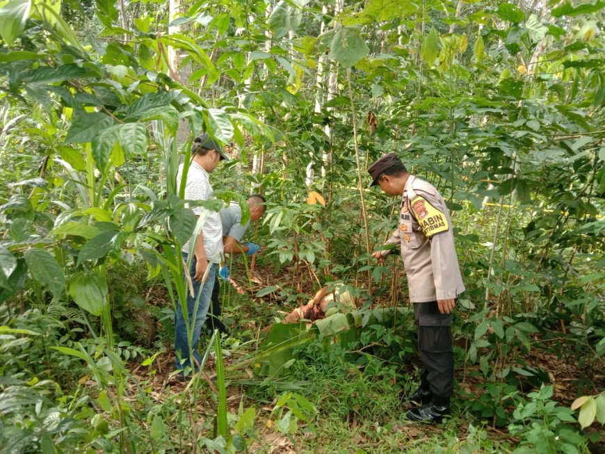 Tragis! Nenek di Lampung Timur Ditemukan Tak Bernyawa di Kebun Usai Cari Kayu Bakar