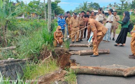 Bupati Ela Tinjau Jembatan Rusak di Sukadana: Fokus Perbaikan Infrastruktur Pasca Idul Fitri