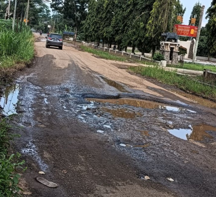 Ruas Jalan Sukadana Menuju Kota Gajah Terancam, Warga Harap Perhatian Pemerintah