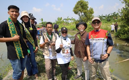 PHE OSES dan Pemerintah Lampung Timur Kolaborasi Tanam 20.000 Mangrove untuk Mitigasi Perubahan Iklim