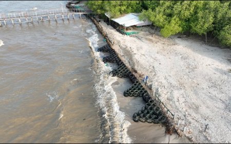 Cegah Abrasi di Pesisir Lampung, PHE OSES Kenalkan Inovasi APPOSTRAPS