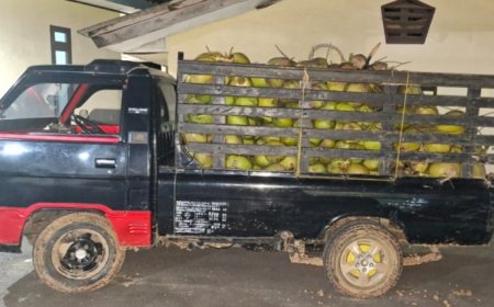 Tiga Tersangka Pencuri Kelapa Diamankan Polisi di Lampung Selatan, Kerugian Sentuh Rp3 Juta