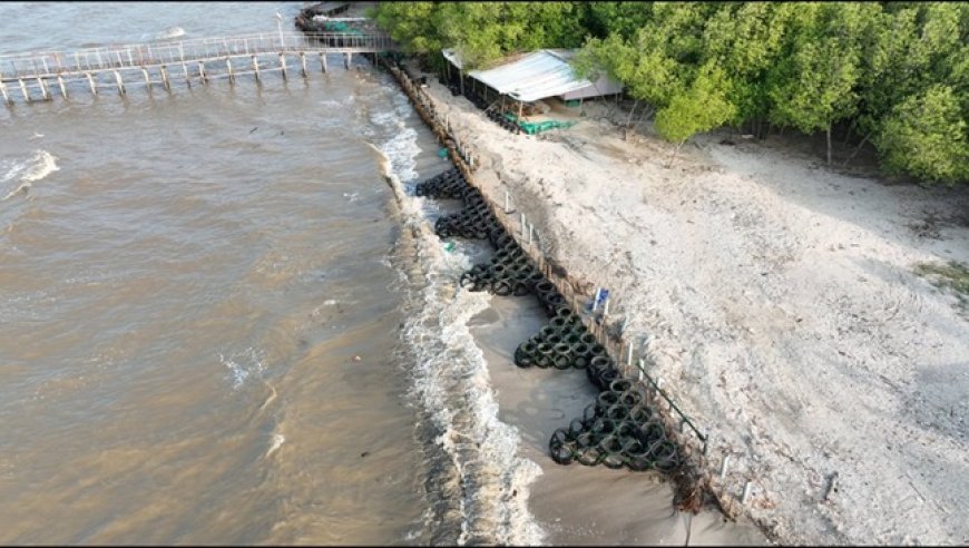 Cegah Abrasi di Pesisir Lampung, PHE OSES Kenalkan Inovasi APPOSTRAPS
