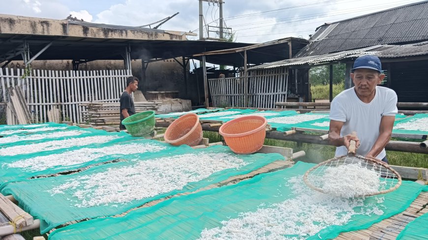 Musim Timuran ,Perajin Ikan Teri Karya Jaya Labuhan Maringgai Tetap Produksi