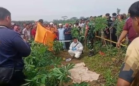 Kasus Pembunuhan Tragis Tya Septiana di Kebun Singkong, Calon Suami Tersangka Pembunuh