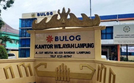 Bulog Lampung Dorong Penyerapan Jagung, Petani Diminta Perhatikan Kualitas
