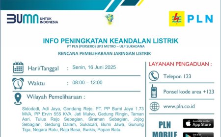 Pemeliharaan Jaringan : PLN ULP Sukadana Jadwalkan Pemadaman Listrik, Ini Waktu dan Lokasinya
