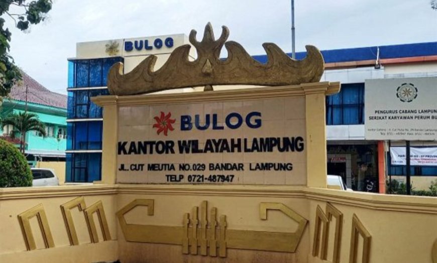 Bulog Lampung Dorong Penyerapan Jagung, Petani Diminta Perhatikan Kualitas
