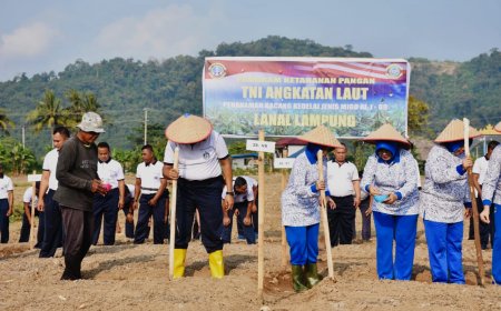 Lanal Lampung Tanam Kedelai: Bentuk Kontribusi TNI AL untuk Ketahanan Pangan